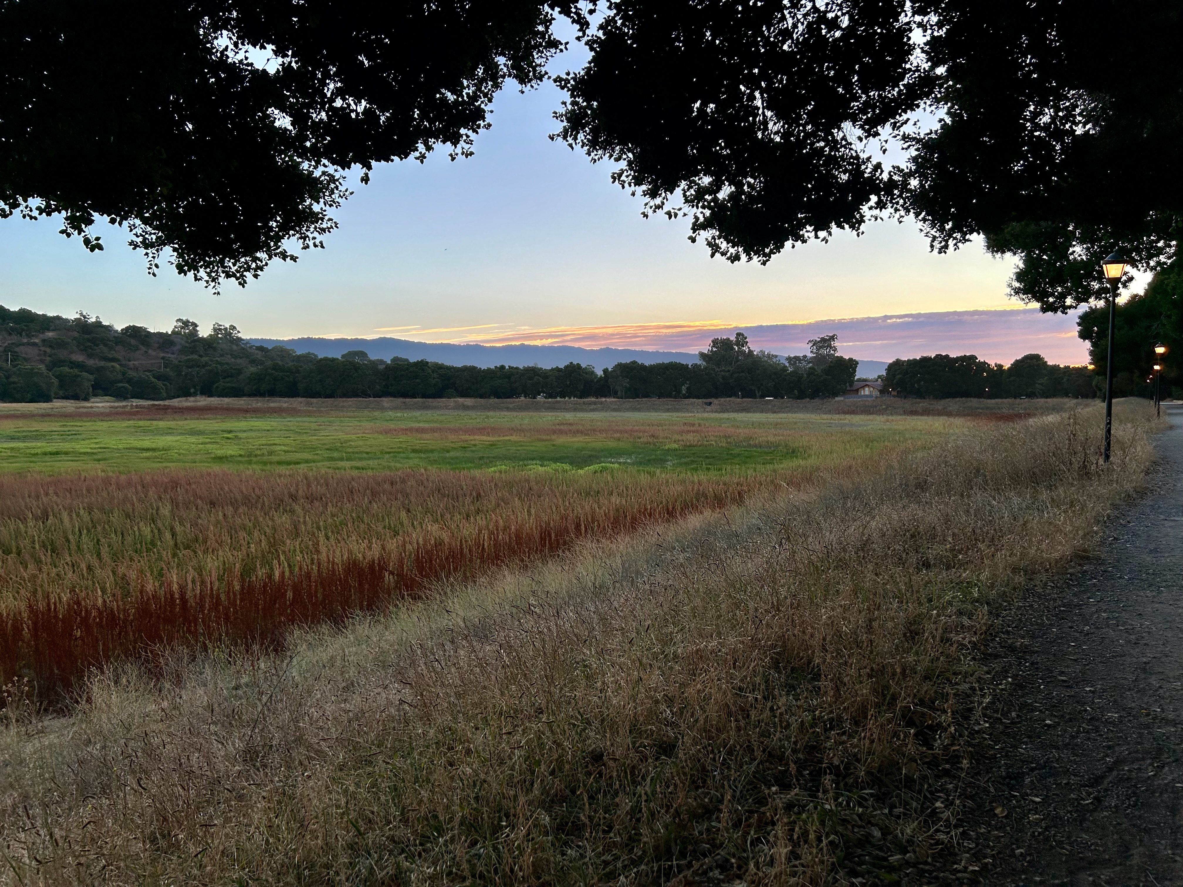 Lake Lagunita